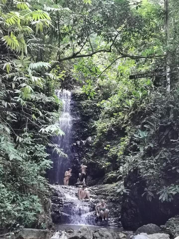 Naura Roomstay Kuala Tahan Exterior foto